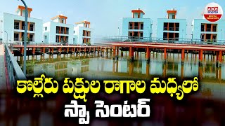 Kolleru Resort in Eluru  ﻿కొల్లేరు పక్షుల రాగాల మధ్యలో స్పా సెంటర్  ABN Digital Exclusives [upl. by Esoranna]