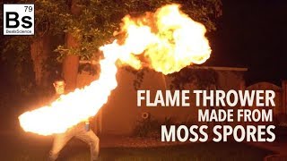 Flame Thrower made from Moss Spores [upl. by Aikrehs203]