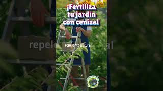 ¡Fertiliza tu jardín con ceniza [upl. by Otrebtuc]