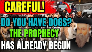 SHOCKING What Nostradamus Predicted for Those Who Have a DOG at Home  Prophecies Revealed [upl. by Anesuza737]