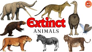 Top 70 Extinct Animals Names for in English kidseducation kidslearning animals [upl. by Bela]