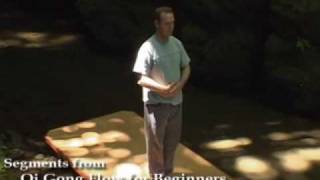 Qi Gong Flow for Beginners with Lee Holden [upl. by Cinomod]