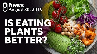 New Research On PlantBased Diets and Mortality [upl. by Gamaliel907]