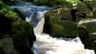 The Strid  Bolton Abbey Estate [upl. by Lolanthe]