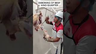 DEBONING OF BEEF HIND QUARTER [upl. by Betthel503]