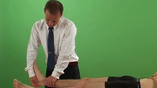 Anterior drawer test for the ankle ligaments [upl. by Ahsemac]