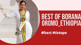 BEST OF OROMOBORANAETHIOPIA SONGS 2022 [upl. by Ainoyek]