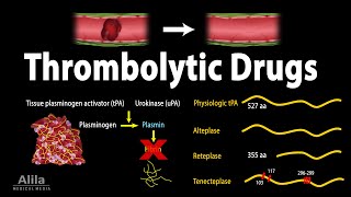 Pharmacology Thrombolytic Fibrinolytic Drugs Animation [upl. by Conal553]