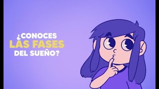 Fases del sueño [upl. by Uriah]