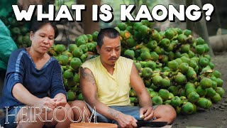 How Kaong is Harvested and Made from Scratch Sugar Palm Candy [upl. by Occer359]