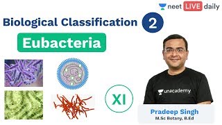 Biological Classification  L 2  Eubacteria  Unacademy NEET  LIVE DAILY  Biology  Pradeep Sir [upl. by Aulea38]