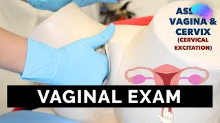 Vaginal Examination PV  OSCE Guide  UKMLA  CPSA [upl. by Scarlet]