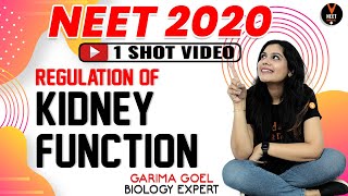 Regulation of Kidney Function Class 11  NEET Biology  NEET 2020 Preparation  Garima Goel [upl. by Katushka]