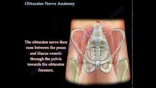 What causes sharp pain behind knee How can it be managed  Dr Navinchand D J [upl. by Asilehc]