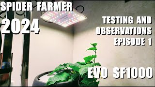 2024 SPIDER FARMER EVO SF1000 GROW TEST PART 1 [upl. by Irrej200]