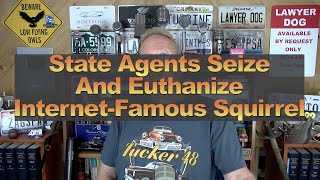 State Agents Seize And Euthanize InternetFamous Squirrel [upl. by Lamson]