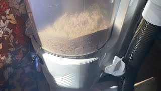 ASMR Natural Vacuuming Carpet 😮‍💨 W Crunchy Bin Dump 🤤😍 [upl. by Pembrook807]