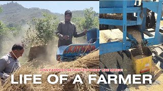 How Farmers Harvested amp Threshed Wheat 🌾  Wheat Threshing Vlog🌷sakibamirza farming desilife [upl. by Mitch129]