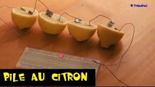 EXPERIENCE  PILE AUX CITRONS  ECLAIRER UNE LED avec des citrons [upl. by Erickson]