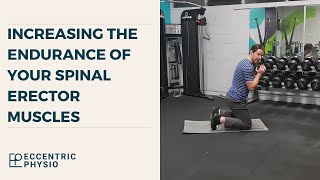 Increasing the endurance of your erector spinae muscles  The MSK Physio [upl. by Giark816]