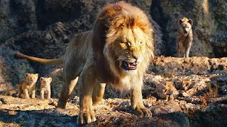 Mufasa salva a Simba y a Nala de las Hienas  El Rey León 2019 LATINO [upl. by Erfert]