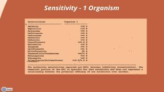 Interpreting a Urine Culture amp Sensitivity [upl. by Rodmur]