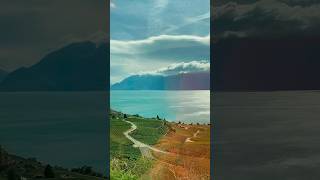 Switzerland 🇨🇭 Lavaux video travel switzerland shortvideo swissnature swisslake nature [upl. by Emse]