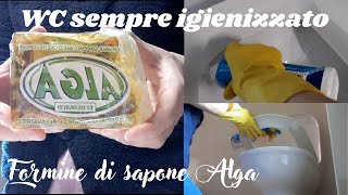 WC SEMPRE PULITO E IGIENIZZATOFORMINE DI SAPONE ALGA [upl. by Reivad]