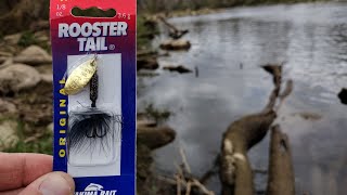 Trout Fishing with 18 oz Rooster Tail with Success glitter black [upl. by Hegyera877]