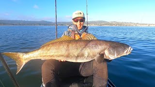 Chasing MASSIVE School of HUGE Seabass on My Kayak [upl. by Arretak444]