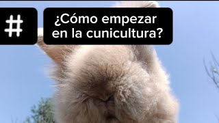 Cómo iniciar en la cunicultura 🤠🐰🇲🇽🐇 [upl. by Bena]