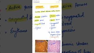 Hyperemia Vs Congestion pathology neetpg nextexam fmge hyperemia congestion [upl. by Dacey250]