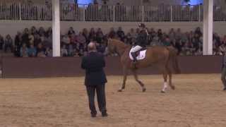 Showjumping  Laura Renwick MasterclassYoung Horses [upl. by Kentiga]