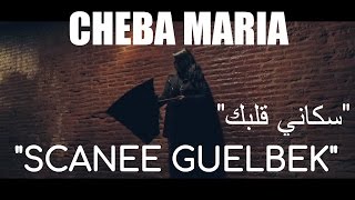 Cheba Maria  Scanee Guelbek EXCLUSIVE Music Video  الشابة ماريا  سكاني قلبك حصرياً [upl. by Irual]