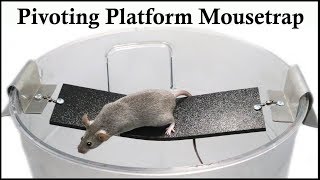 The Pivoting Platform Bucket Mousetrap Patented in 1987 Mousetrap Monday [upl. by Artinek]