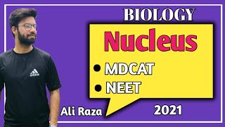 Nucleus Structure And Functions  NMDCAT 2021 [upl. by Edniya]