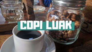 Kopi Luwak probé el café más caro del mundo [upl. by Rogers]