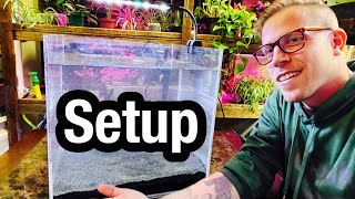 How to Set Up a Fish Aquarium at Home  Beginners Guide [upl. by Jumbala]