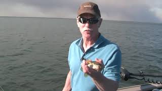 Fall Fishing on the Big Lake  Houghton Lake MI [upl. by Immanuel]