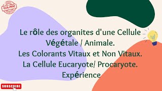 Cellule végétale et Cellule Animale et Les colorants Vitaux et Non Vitaux  GuilMini [upl. by Foss]