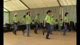 copperhead road line dance [upl. by Janiuszck334]