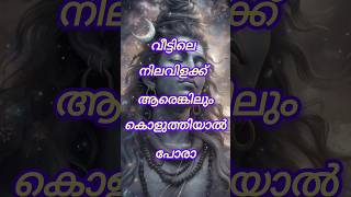 വീട്ടിലെ നിലവിളക്ക് ആരെങ്കിലും കൊളുത്തിയാൽ പോരാ shortsfeed shorts astrology [upl. by Ecnedac]