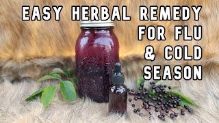 Elderberry tincture recipe using fresh elderberries [upl. by Assirem]