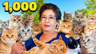 This Woman Shares Her Home With Over 1000 Cats  Full Documentary [upl. by Ehman365]