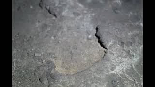 Malheur Cave video 1 part 2 6k [upl. by Nostrebor]