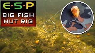 Simple Tiger Nut Rig  Carp Fishing Rigs [upl. by Aronoh241]