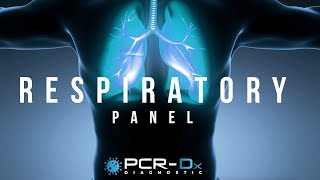 PCRDx Diagnostic Respiratory Panels [upl. by Vine942]