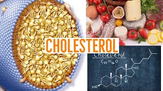 CHOLESTEROL  EXCES [upl. by Schurman]