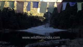 Dodital or the Emerald Lake in a beautiful highaltitude Himalayan lake at 10 500 feet [upl. by Femi]