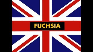 How to pronounce quot Fuchsia quot in English Authentic British accent [upl. by Hillel]